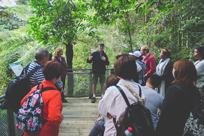Blue Mountains Day Tour with Wildlife, Walks and Scenic World - The early start in Sydney: timing, pacing, and group size