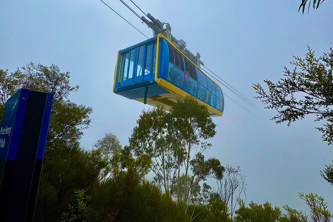 Blue Mountains Day Tours W Scenic World and Lunch - Why this Blue Mountains day tour makes sense when you have limited time