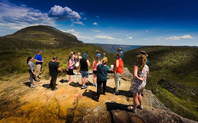 Blue Mountains Deluxe Small-Group Eco Wildlife Tour from Sydney - Small-group logistics that actually change the day
