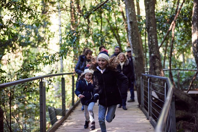Blue Mountains Half Day Experience with Scenic World and Lookouts - Who this trip suits best