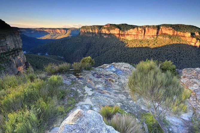 Blue Mountains Highlights, Wildlife Park and Scenic World Full Day Private Tour - A Guided Stroll in Blue Mountains National Park: The Part That Feels Like Escape