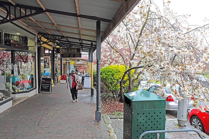 Blue Mountains Highlights, Wildlife Park and Scenic World Full Day Private Tour - Leura Village Lunch Break: A Soft Landing in the Day’s Pace