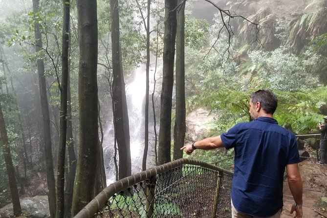 Blue Mountains Highlights, Wildlife Park and Scenic World Full Day Private Tour - Kings Tableland Lookouts: Short Stop, Thought-Provoking Views