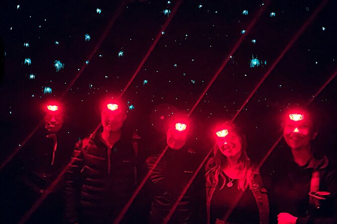 Blue Mountains Hiking Glow worms Cave Wildlife Spotlighting Night Adventure - Headlamps, red light mode, and bush etiquette you will actually use