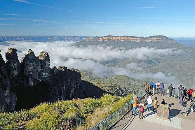 Blue Mountains | Koalas, Kangaroos & Bondi Beach Private Tour - Key points before you go