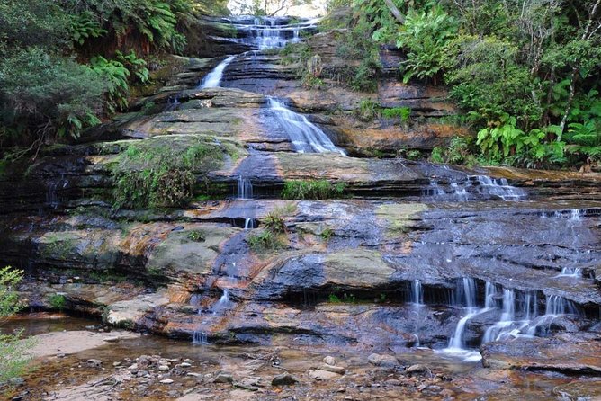 Blue Mountains | Koalas, Kangaroos & Bondi Beach Private Tour - Bondi Beach in 30 Minutes: What You Can Really Do