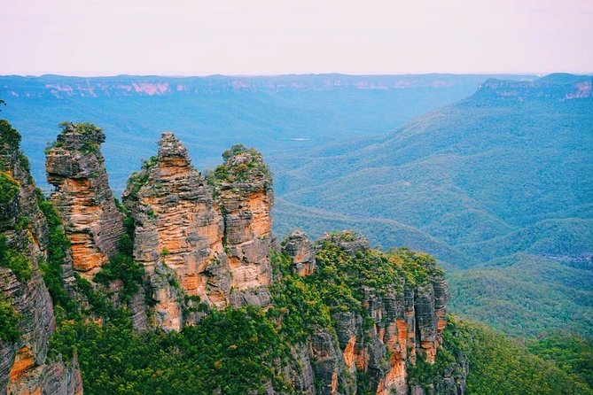Blue Mountains | Koalas, Kangaroos & Bondi Beach Private Tour - Who Should Book, and What to Watch for in Rain or Fog
