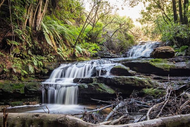 Blue Mountains Luxury Tour from Sydney - From Sydney, a Blue Mountains day without the stress