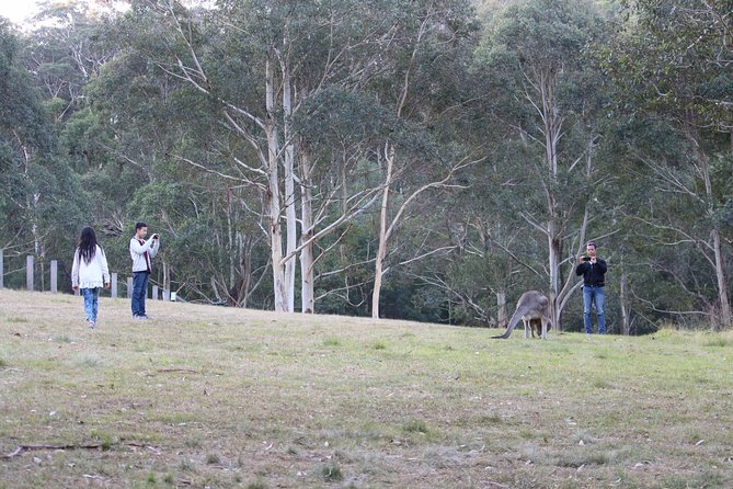 Blue Mountains Private Charter - Blackheath lookouts: stacking Grose Valley views
