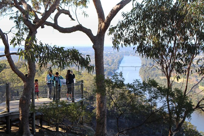 Blue Mountains Private Charter - Wildlife time in Glenbrook National Park: how to make it work