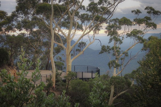 Blue Mountains Private Charter - How the day flows, and why timing matters