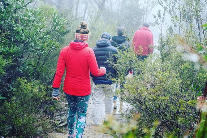 Blue Mountains Private Hiking Tour from Sydney - Evans Lookout: a classic Grose Valley view break