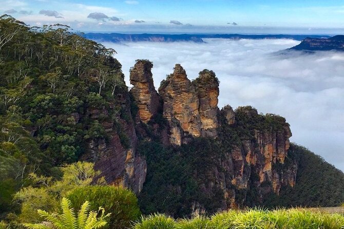 Blue Mountains Private Hiking Tour from Sydney - Megalong Valley: a different feel, plus animal chances