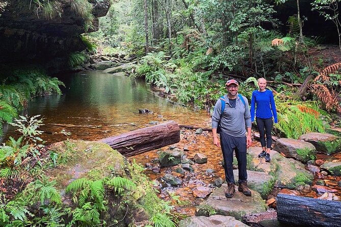 Blue Mountains Private Hiking Tour from Sydney - Your day at a glance: Glenbrook to Dryridge Estate
