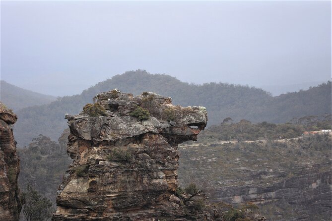 Blue Mountains Private Tour - Leura Village and Bushwalk Options That Fit Your Group
