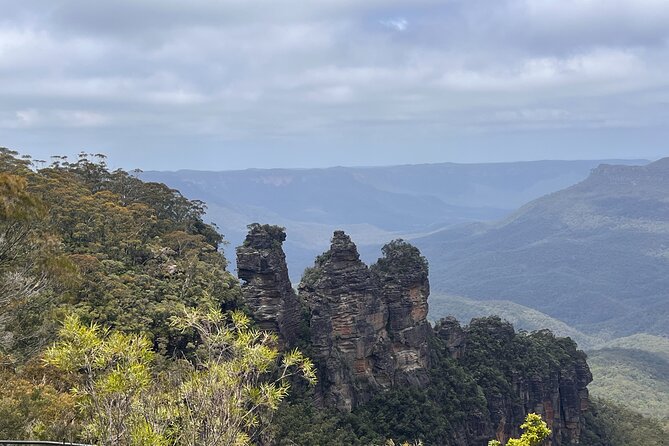 Blue Mountains Private Tour (Featherdale & Scenic World optional) - Featherdale Sydney Wildlife Park: animals first, then mountains