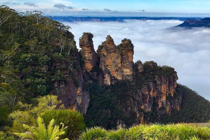 Blue Mountains Private Tour from Sydney - Key things to know before you go
