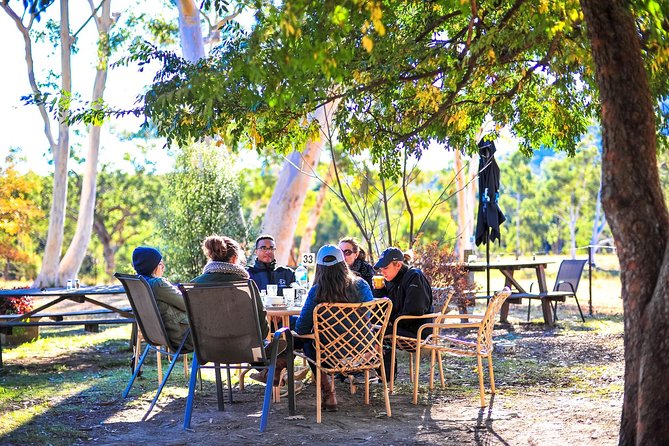 Blue Mountains Private Tour from Sydney - Value check: $1,061 per group up to 11, and when it pays off