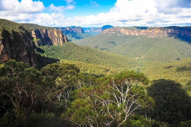 Blue Mountains Private Tour from Sydney - Who this tour is best for