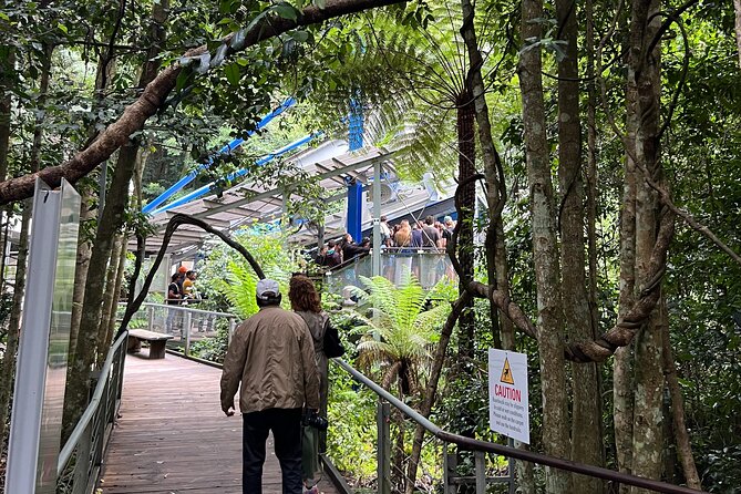 Blue Mountains Private Tour & Hidden Gems, Pick up & Drop off - Blackheath: a short hike for a high-feeling canyon view