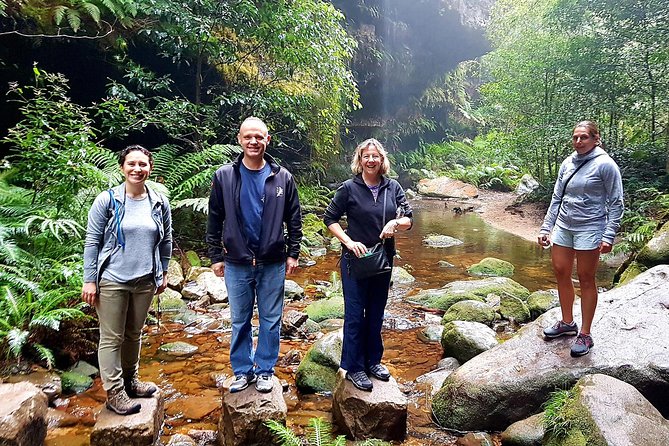 Blue Mountains Private Tour including Wildlife Park - Private door-to-door logistics from Sydney