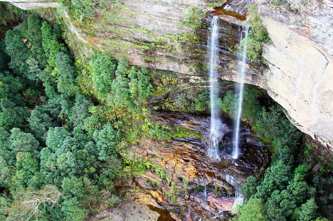 Blue Mountains Private Tour including Wildlife Park - Leura for lunch and browsing, not just another stop