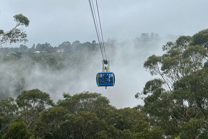 Blue Mountains Private Tour & Scenic World Included - Key Highlights That Make This Day Worth It