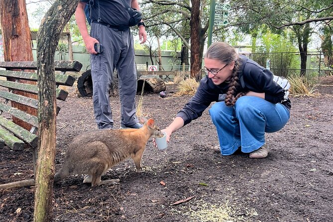 Blue Mountains Private Tour & Scenic World Included - Cahill’s Lookout and Echo Point: Two Ways to See the Same Big Story