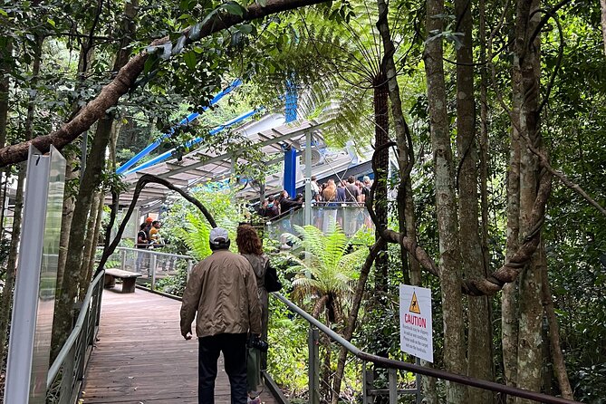 Blue Mountains Private Tour & Scenic World Included - Boar’s Head Lookout and the Megalong Valley Perspective