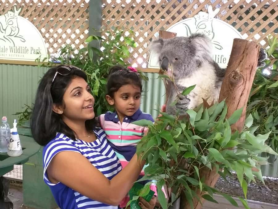 Blue Mountains private tour with Featherdale Wildlife Park - Key highlights at a glance