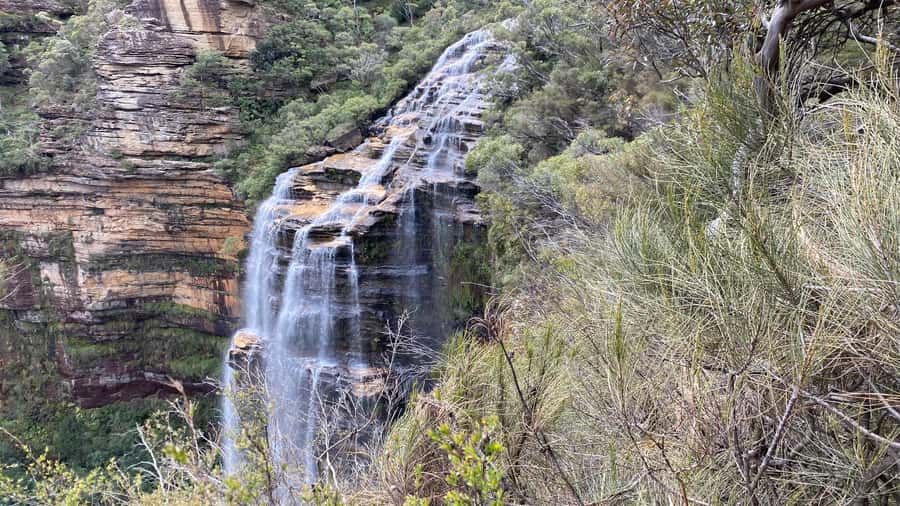 Blue Mountains private tour with Featherdale Wildlife Park - Leura village breaks: shops, tea pot memories, and lunch on your terms