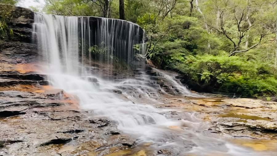 Blue Mountains private tour with Featherdale Wildlife Park - Featherdale Wildlife Park before the crowds: koalas and kangaroos
