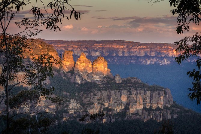 Blue Mountains Private Tour with Kangaroo and Koala Experience - Quick Reasons This Tour Gets 5 Stars