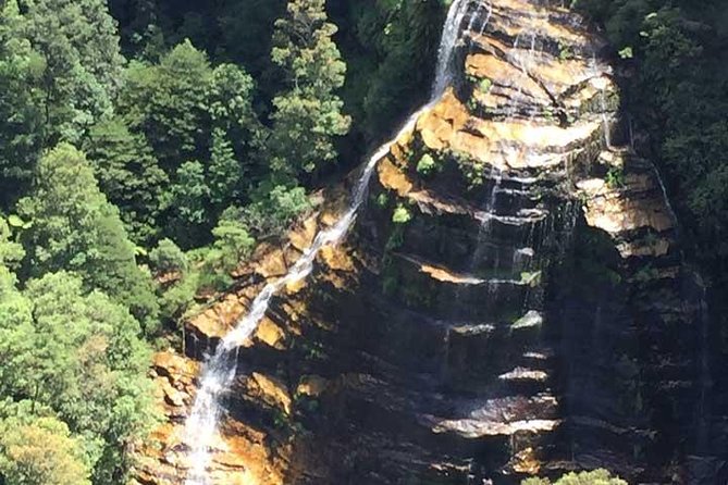 Blue Mountains Private Tour with Kangaroo and Koala Experience - Featherdale Wildlife Park: The Kangaroo and Koala Core of the Day