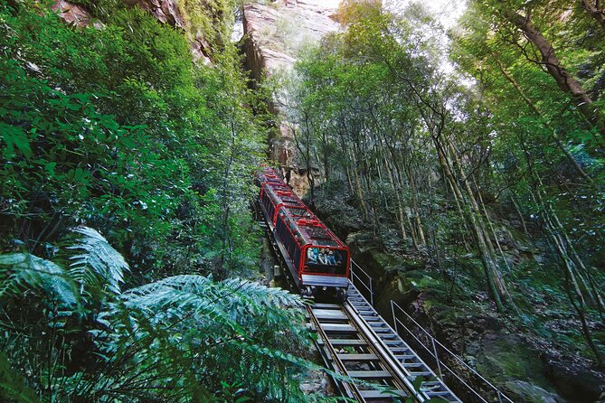 Blue Mountains Private Tour with Kangaroo and Koala Experience - Scenic World: The One Extra Worth Thinking About