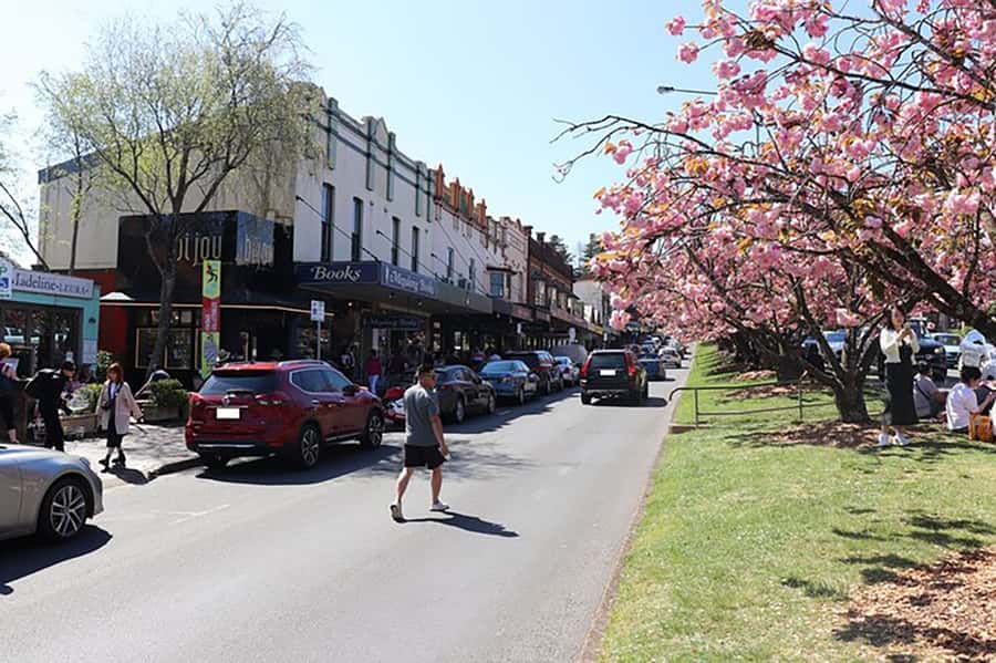 Blue Mountains: Private Tour with Wildlife and River Cruise - Things to watch on the day itself