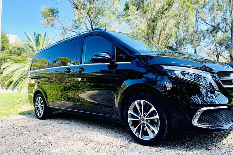 Blue Mountains: Private Tour with Wildlife and River Cruise - A private van day that hits the Blue Mountains big hits