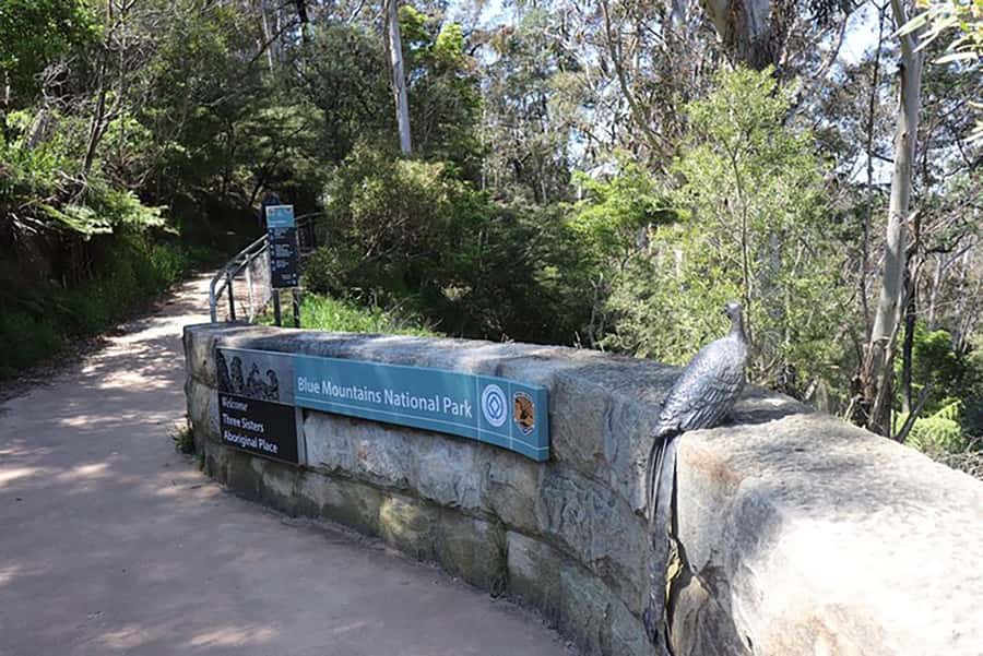 Blue Mountains: Private Tour with Wildlife and River Cruise - Pickup, drop-off, and timing: plan around the end point