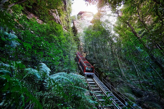 Blue Mountains Small-Group Tour from Sydney with Scenic World,Sydney Zoo & Ferry - Key highlights worth your attention