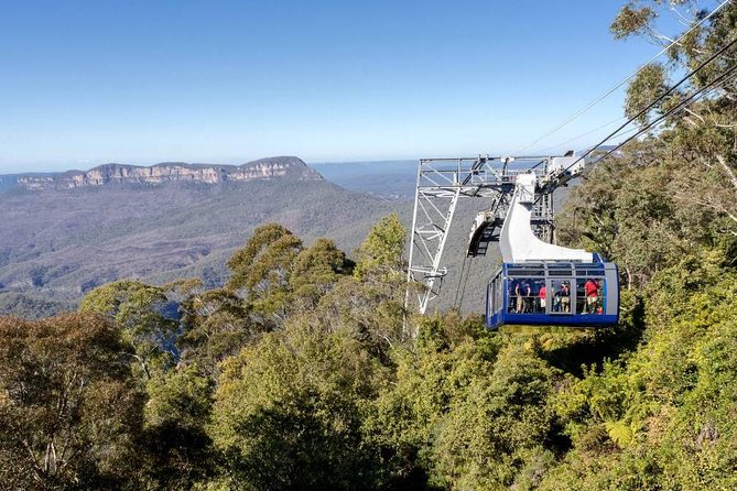 Blue Mountains Small-Group Tour from Sydney with Scenic World,Sydney Zoo & Ferry - The 6:45am departure and why it actually improves your day