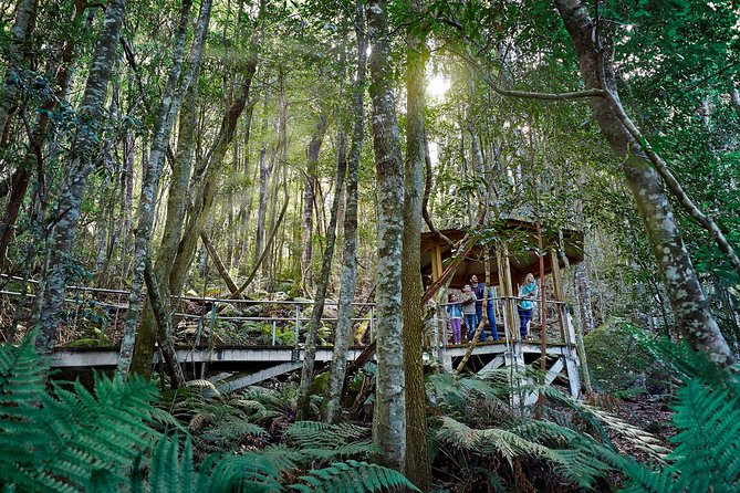 Blue Mountains Small-Group Tour from Sydney with Scenic World,Sydney Zoo & Ferry - Scenic World rides that turn the mountains into a hands-on experience