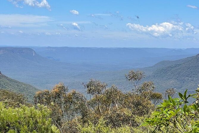 Blue Mountains Small Group Tour w/optional Scenic World & Lunch - Price and value at about $135.56 per person