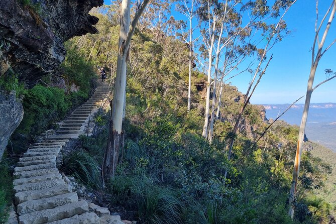 Blue Mountains Small Group Tour with Lunch, Zoo and Scenic World - Who this tour suits best, and who should skip it