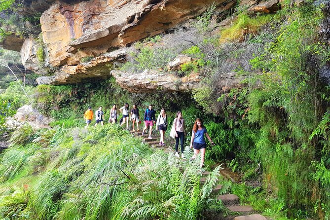Blue Mountains Small Group Tour with Waterfall Walk & Fresh Lunch - Echo Point and the Three Sisters: the classic views, done with restraint