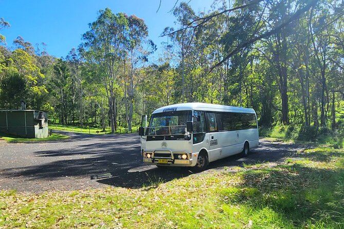 Blue Mountains Small Group Tour with Waterfall Walk & Fresh Lunch - What to pack: shoes, layers, water, and a towel if you want it