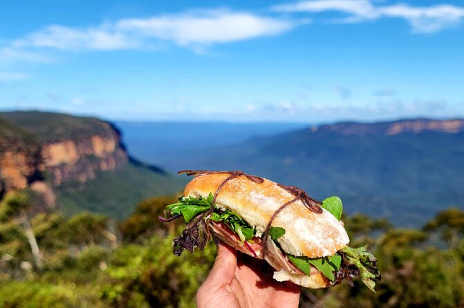 Blue Mountains Small Group Tour with Waterfall Walk & Fresh Lunch - Wildlife, lookouts, and the little details you’ll notice on a good day
