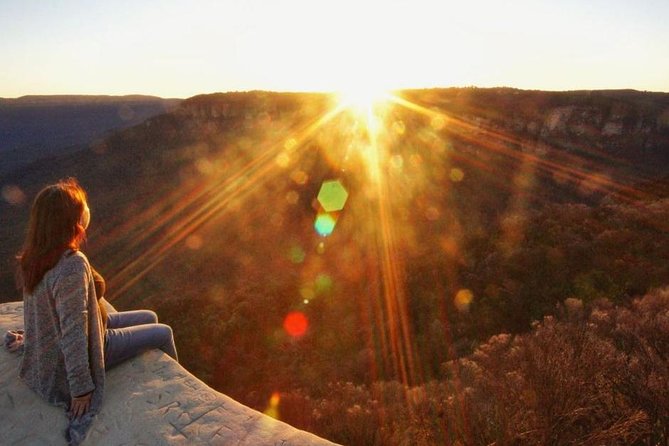 Blue Mountains Sunset Tour | See Kangaroos & Koalas (Private Tour) - Featherdale Sydney Wildlife Park: koalas and kangaroos without the rush