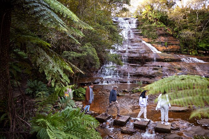 Blue Mountains Sunset Tour with Kangaroo Sightings from Sydney - Why the Later Start Changes the Whole Blue Mountains Day
