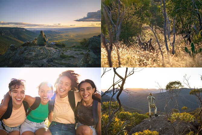 Blue Mountains Sunset Tour with Kangaroo Sightings from Sydney - Kangaroo Sightings and Wildlife Spotting: Realistic Expectations