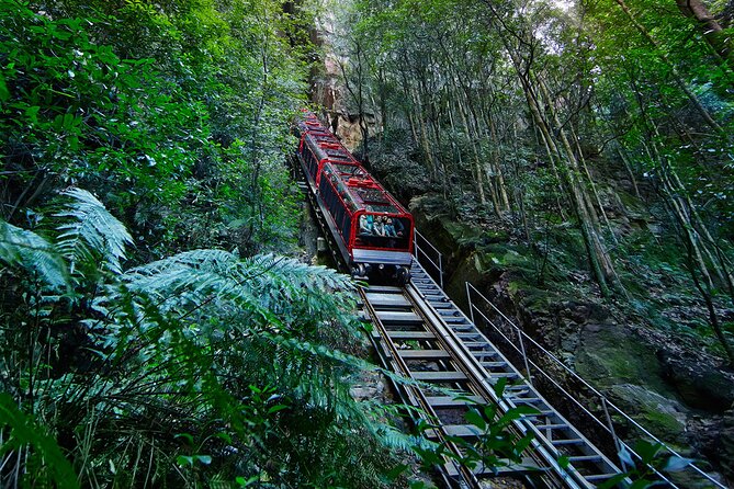 Blue Mountains Tour - Highlights - Practical Tips So You Enjoy Every Stop